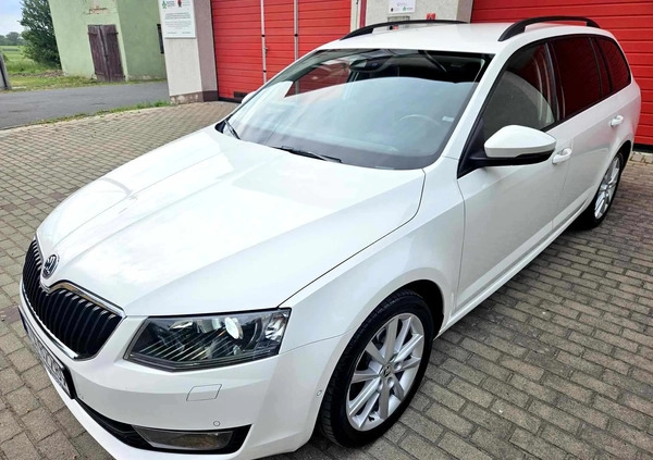 Skoda Octavia cena 43900 przebieg: 181000, rok produkcji 2013 z Ścinawa małe 781